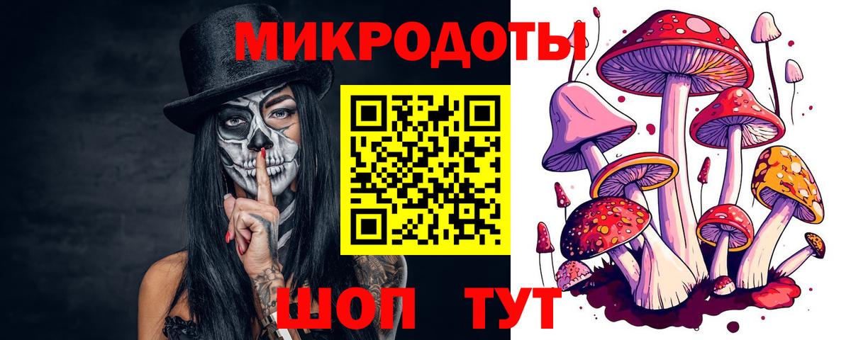 Галлюциногенные грибы Psilocybe  Вход с VPN  Новосибирск 