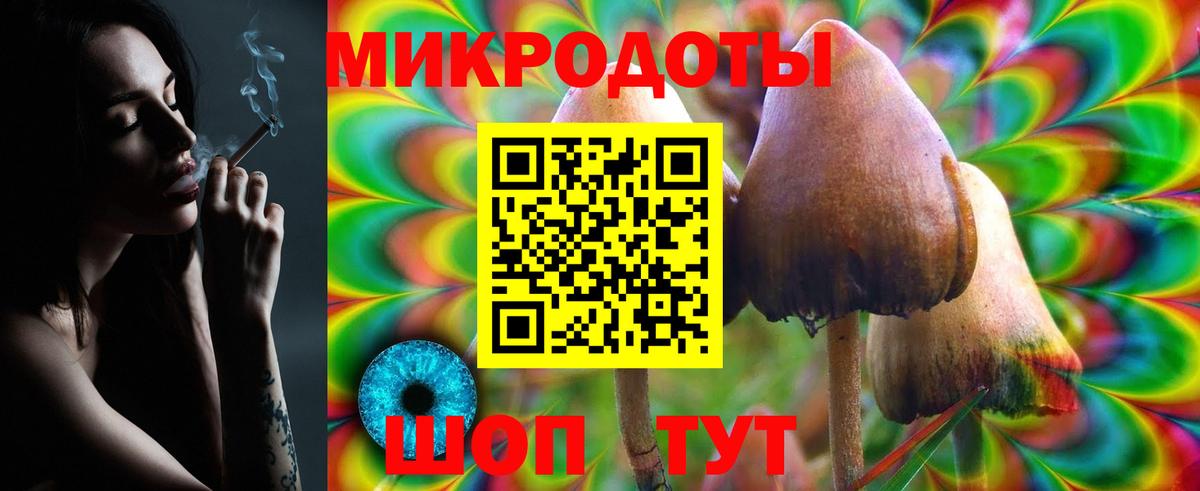 Псилоцибиновые грибы Psilocybine cubensis Новосибирск