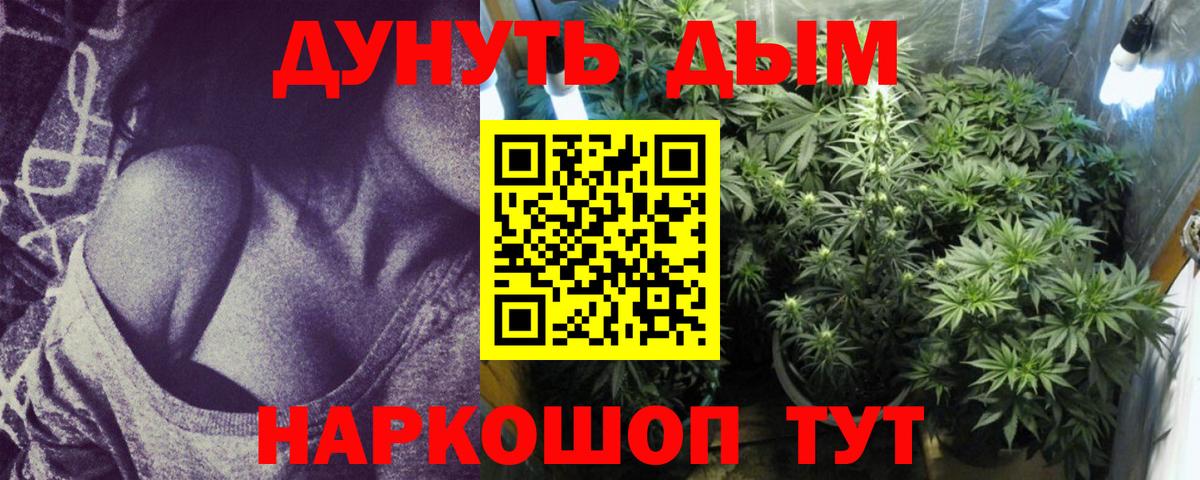 Конопля White Widow Новосибирск